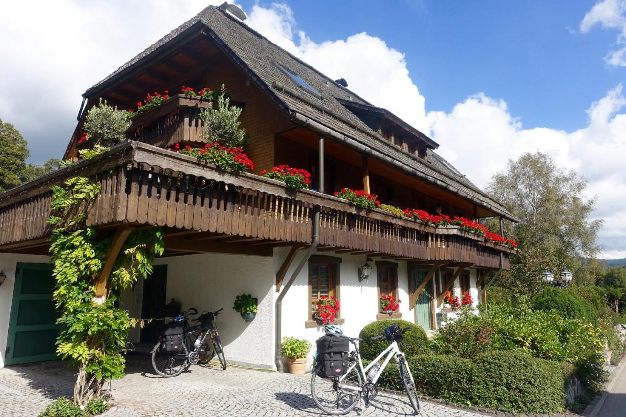 Hollhouse - Bed & Breakfast Hinterzarten Exteriér fotografie
