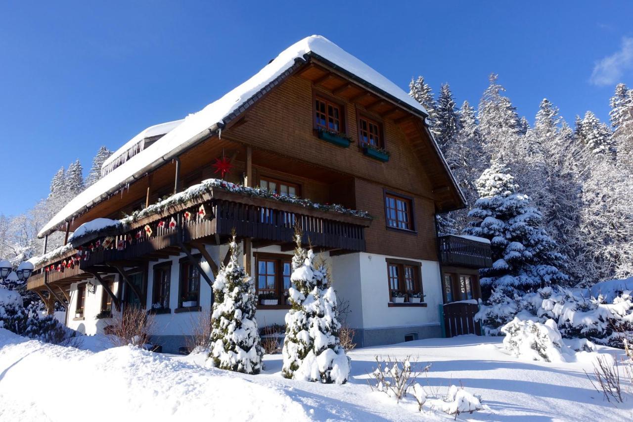 Hollhouse - Bed & Breakfast Hinterzarten Exteriér fotografie