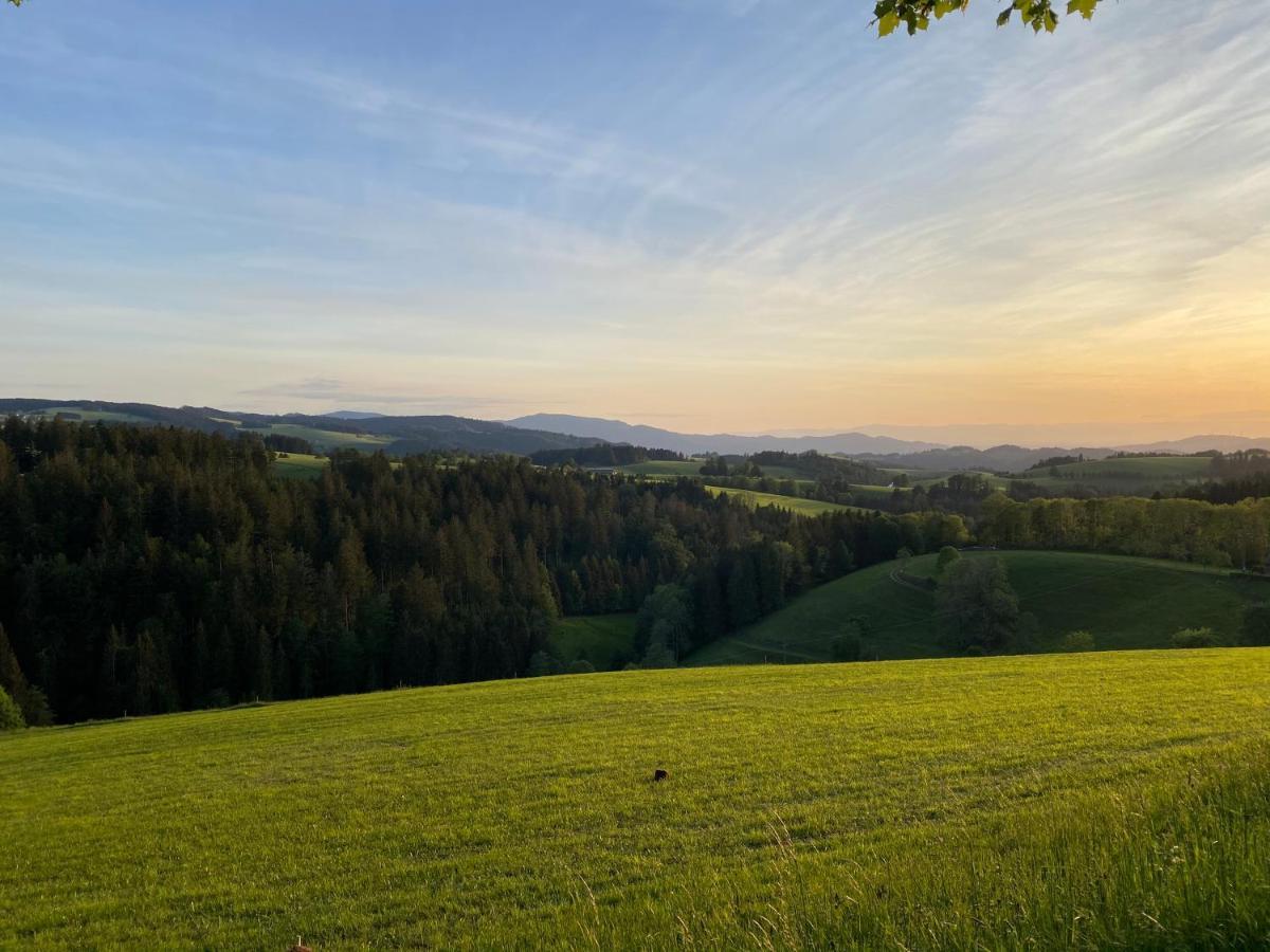 Hollhouse - Bed & Breakfast Hinterzarten Exteriér fotografie