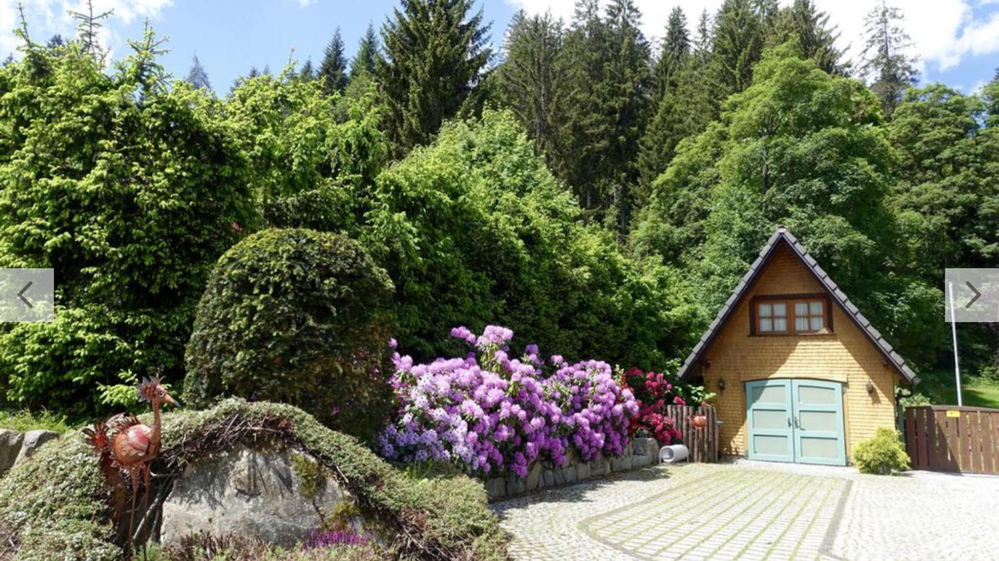 Hollhouse - Bed & Breakfast Hinterzarten Exteriér fotografie